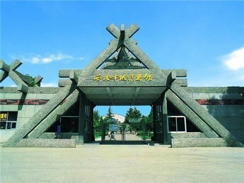 banpoyizhi